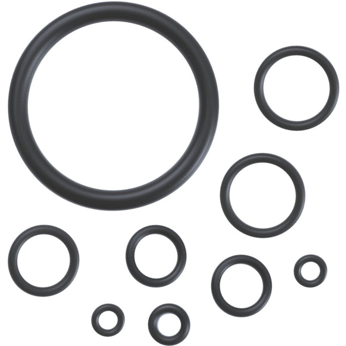 O-RING & SEAL KIT ACETONE SPRAYER